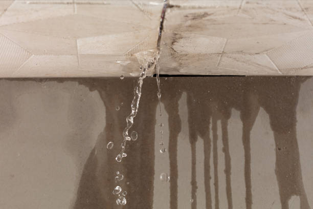 Professional Structural Drying technician working in Cable, OH